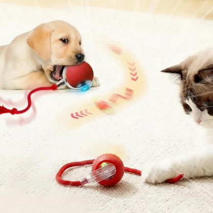 Balle Interactive Intelligente