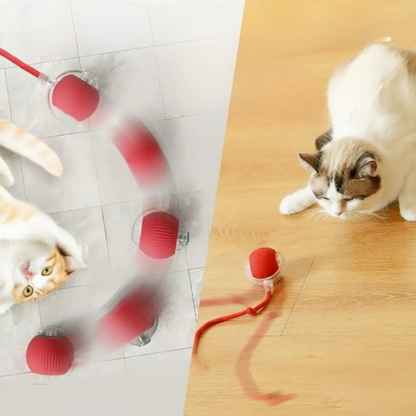 Balle Interactive Intelligente