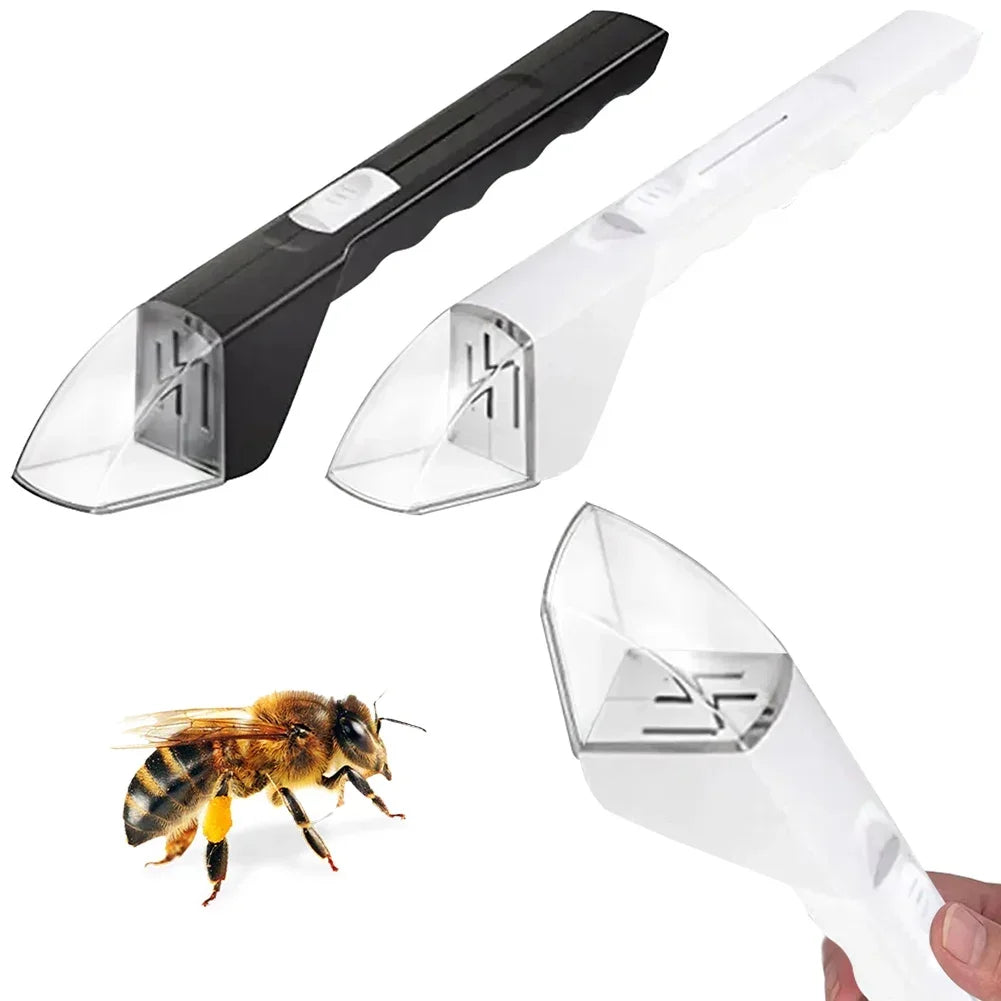 Attrape-Insectes